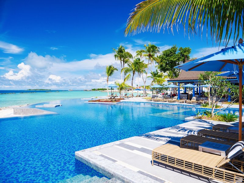 maldivy